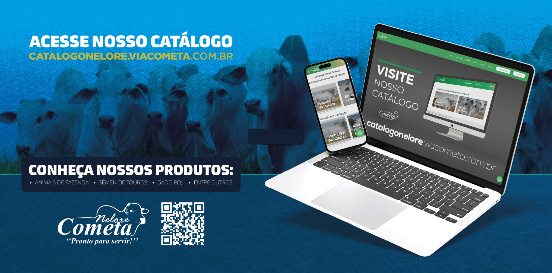 CATALAGO NELORE COMETA