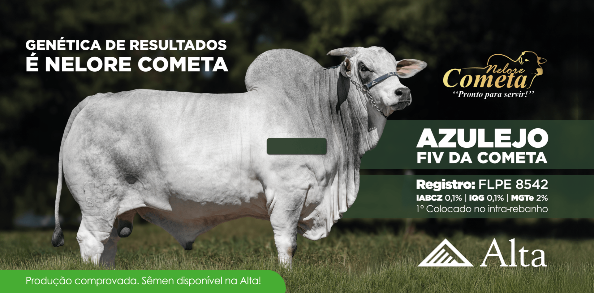 Azulejo FIV da Cometa