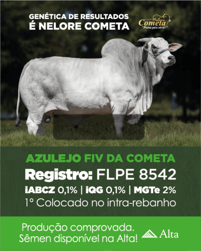 Azulejo FIV da Cometa