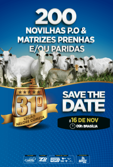 31º Leilão Nelore Cometa