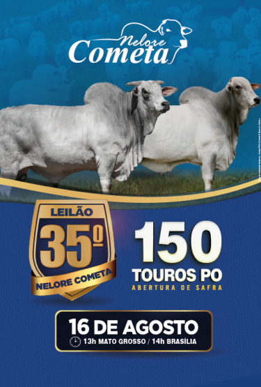 35º Leilão Nelore Cometa