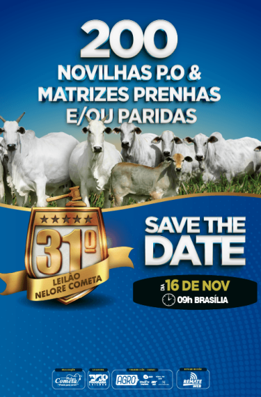 31º Leilão Nelore Cometa