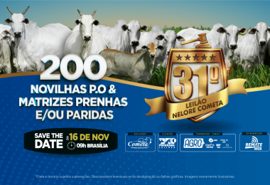 31º Leilão Nelore Cometa