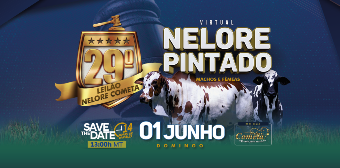 Banner 29º Leilão Nelore Pintados