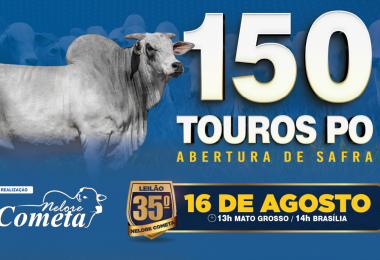 35º Leilão Nelore Cometa