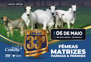 33º Leilão Nelore Cometa