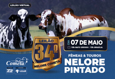 34º Leilão Nelore Cometa