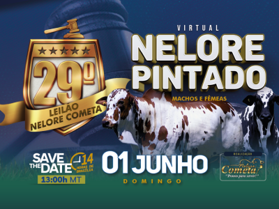 Banner 29º Leilão Nelore Pintados